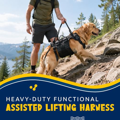 Dog Lift Harness for Rear Leg Support (Black / L)