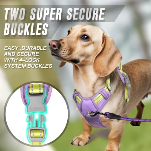 Dog Harness No Pull for Small Sized Dog Front Back Clips (Small(Chest:19.5-26") / Violet Purple & Sunlight)