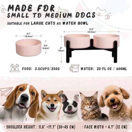 Ceramic Elevated Dog Bowl Set (Pink / 3.5 Cups)
