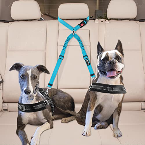 Double Dog Car Seat Belt (Light Blue)
