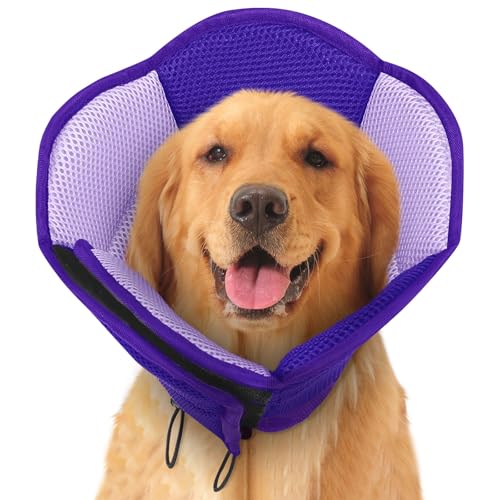 Dog Cone Soft Cone for Dogs to Stop Licking (Purple / Large)