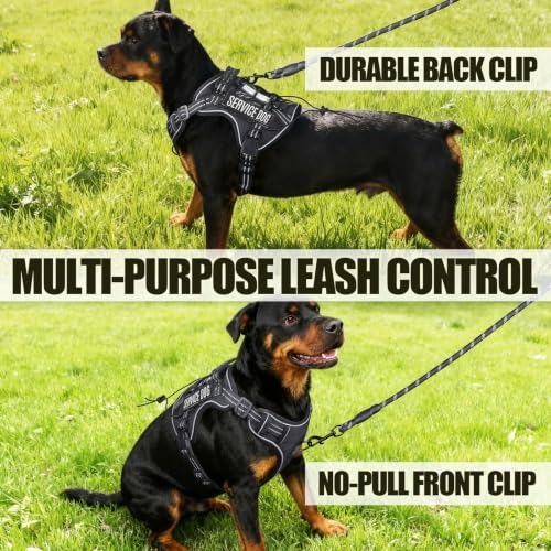 Dog Harness and Leash Set for X (Black / XL)