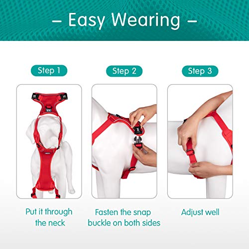 Mesh Dog Harness (XS / Red)
