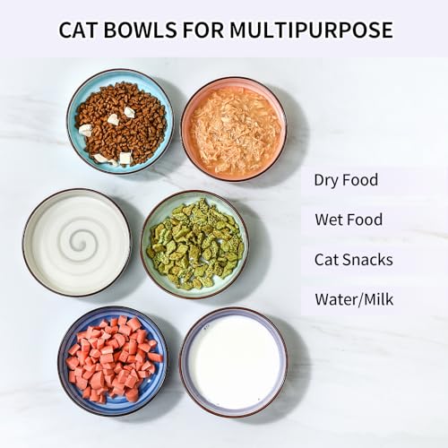 Ceramic Cat Bowls Set of 6 (5.6 Inch, Set of 6 / Gradient Color)