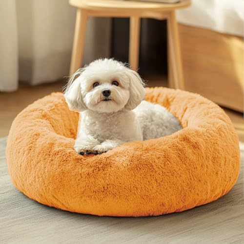 Dog & Cat Bed (20" / Orange)