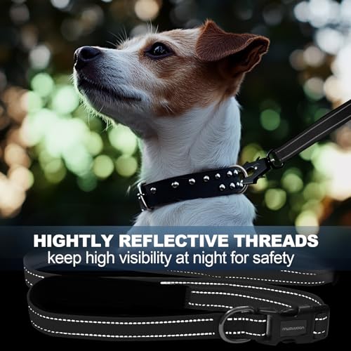 Heavy Duty Hands Free Dog Leash with Quick Release Carabiner and Adjustable No Pull Bungee Dog Running Waist Leash (Black)
