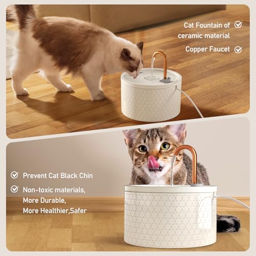 Ceramic Cat Water Fountain