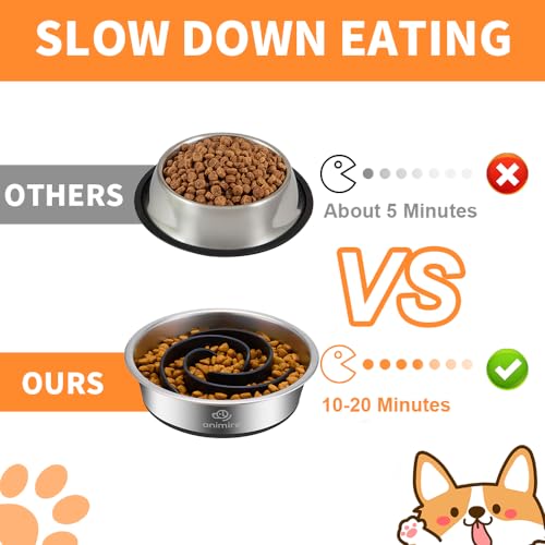 2-in-1 Metal Dog Bowl with Slow Feeder Insert, Stainless Steel Dog Bowls Food Grade 304, Water Food Bowl with Anti-Slip Silicone Base for Small, Medium, Large Dogs (5 Cups / Black)