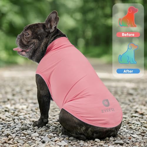 2Pack Dog Cooling Shirt with UPF 50+ UV Protection (Medium (7-11lbs) / Pink)