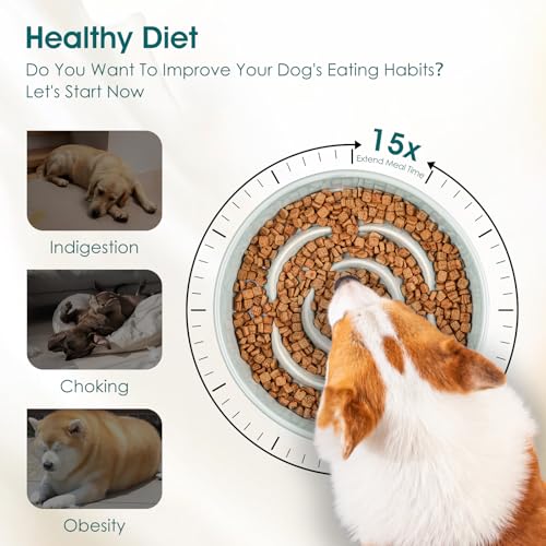 Slow Feeder Dog Bowl (M - 1.5 Cups / Grayish Cyan)