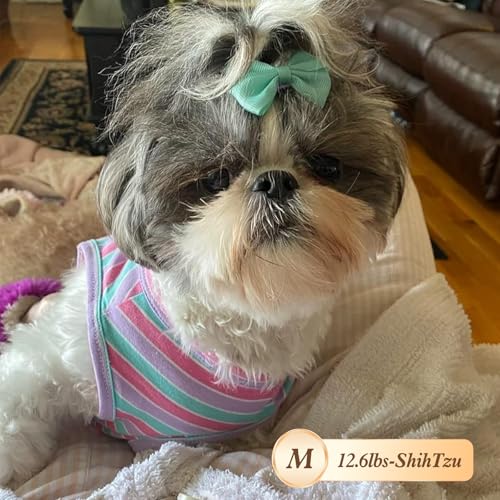2Pack Cotton Dog Shirt for Small Dogs Soft Striped Tank Top (Medium (7-13lbs) / 01# 2Pack (Pink+Striped))