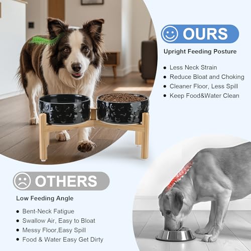 Elevated Dog Bowls Ceramic (7.3 in - 5.3 cups / Black- Skull)