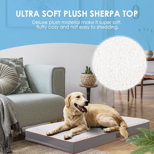 Washable Orthopedic Medium Dog Bed (Light Grey / 30.0"L x 20.0"W x 3.0"Th)