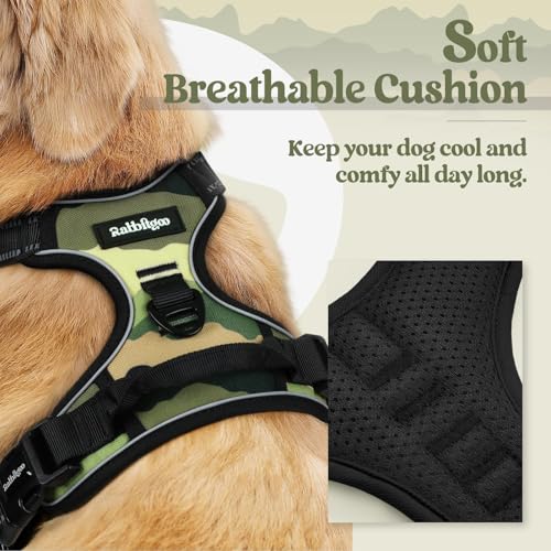 Dog Harness No Pull for Small Dogs with 2 Leash Clips (Small / Green Mountain)