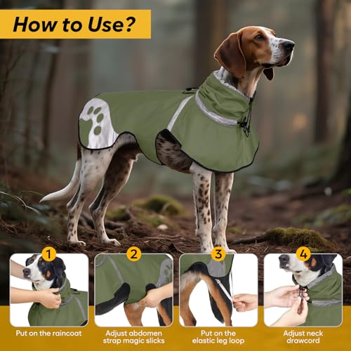 Dog Raincoat for Large Dogs (Green / X-Large)