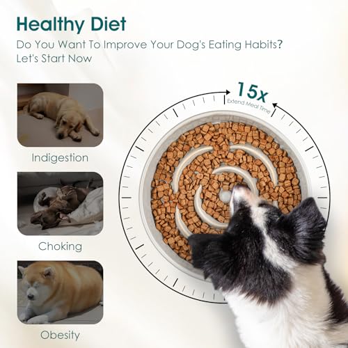 Slow Feeder Dog Bowls (L - 3 Cups / Light Gray)