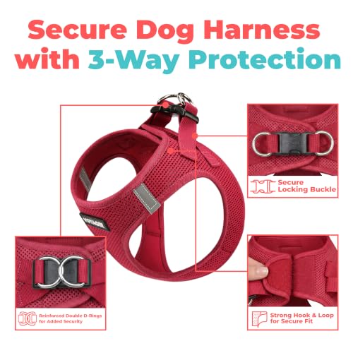Voyager Step in Air Dog Vest Harness (Burgundy / XL (Chest: 20.5 - 23"))