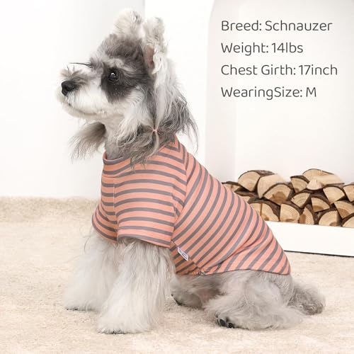 4 Pack Dog Sweaters Comfy Dog Clothes with Sleeves Puppy Shirts Pullover Pet Sweatshirt for Small Medium Large Dogs Boy Girl Doggy Outfits Cat Apparel (Small / Orange, Grey)