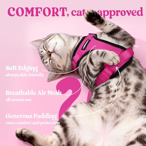Cat Harness and Leash Set (Xxs / Rose Red)