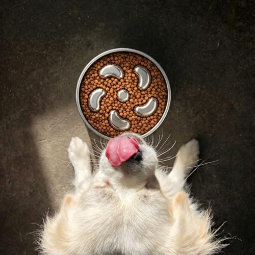 Slow Feeder Dog Bowl (Spiral-2Pack / M 2~2.5Cups)