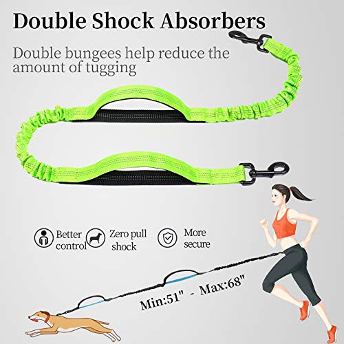 Hands Free Dog Leash with Zipper Pouch (Green / Large)
