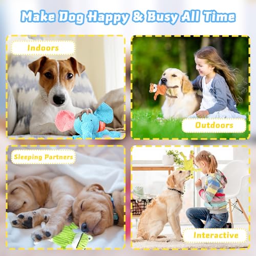 Dog Toys Squeaky