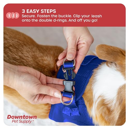 Step in Dog Harness for Small Dogs No Pull (X-Small / Blue)