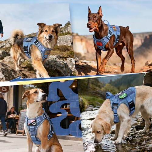 Tactical Dog Harness for Medium (Blue Reflex / Medium)