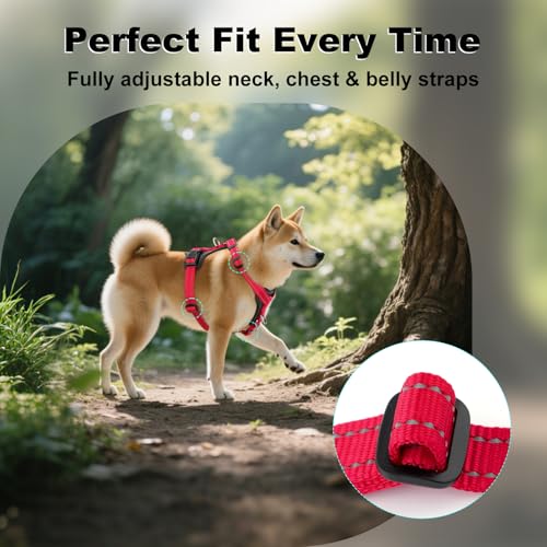 No Pull Dog Harness with Leather Accents (L / Red)