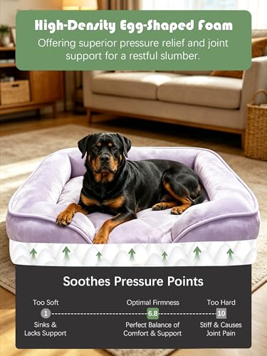 Orthopedic Dog Bed with Sides (42.0"L x 32.0"W x 6.5"Th / Purple)