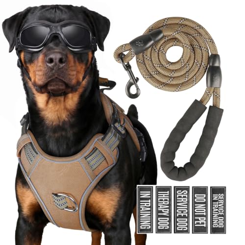 Dog Harness and Leash Set for X (Khaki / XL)