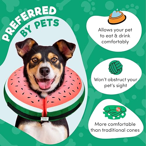 Inflatable Dog Cone Collar Alternative After Surgery Medium (Watermelom / Medium [Neck:7"-11"])