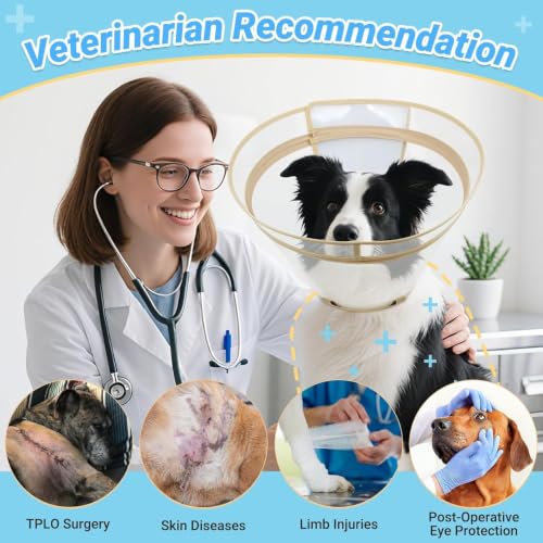 Dog Cone to Stop Licking (Khaki / S(Neck: 10"-11.75"))