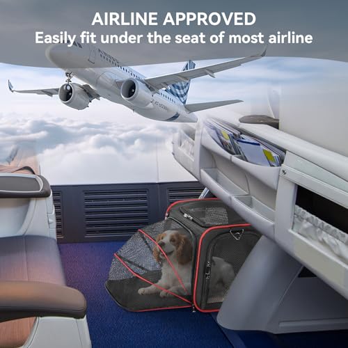 Medium Expandable Cat Carrier for Air Travel (17"L x 11"W x 11"H / Black)
