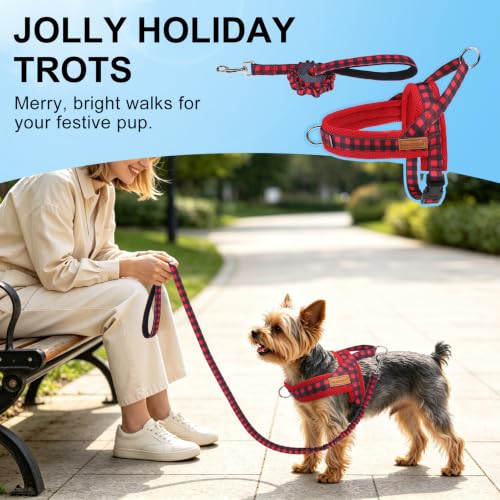 Small Dog Harness and Leash Set (Buffalo Red / S: Chest 17.5"-22")