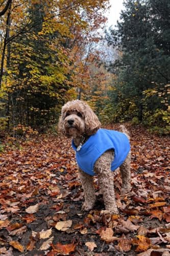 Dog Fleece Vest Sweater with Leash Ring (XL (17-25lbs) / Blue)