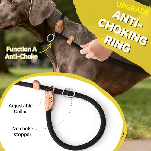 Heavy Duty Slip Lead No Pull Leash 6 (Black / 6 Feet)