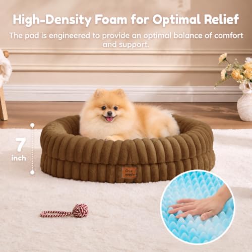 Orthopedic Dog Bed (Brown / M(30*24*7))