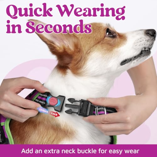 Dog Harness for Large (Purple & Light Green / X-Large)