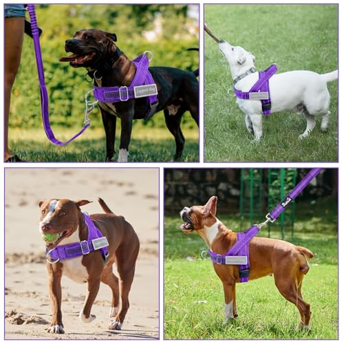 No Pull Dog Harness and Leash Set (Purple / X-Large)