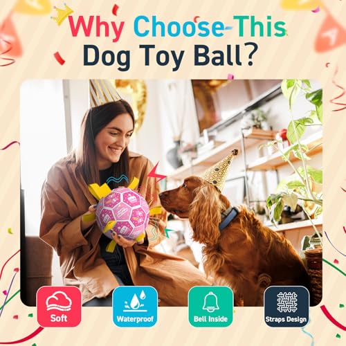 Dog Birthday Toys (Birthday / 8 Inch)