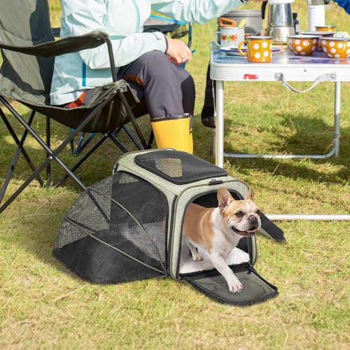 Large Expandable Cat Carrier for Travel (19"L x 12"W x 12"H / Green)