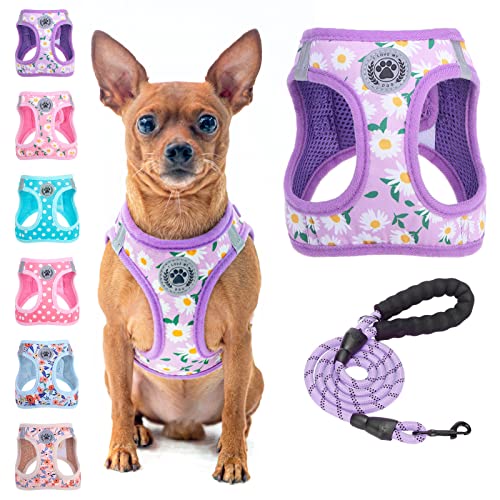 Small Dog Harness and Leash Set (XSmall(Chest Girth 13" - 14.5") / Purple Daisy)