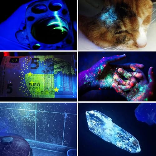 UV Black Light 365 nm Rechargeable Flashlight with Filter for Pet Urine (Black and Purple)