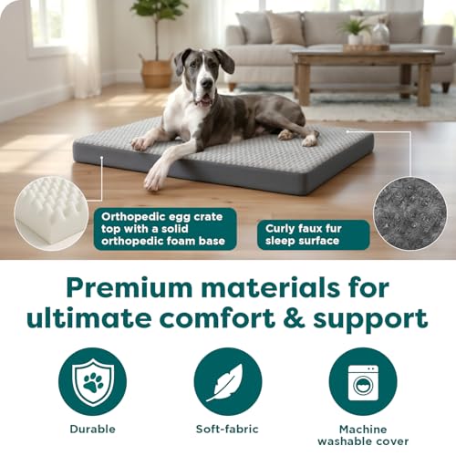 Orthopedic Dog Bed for Large Dogs (Jumbo Plus / Gray)