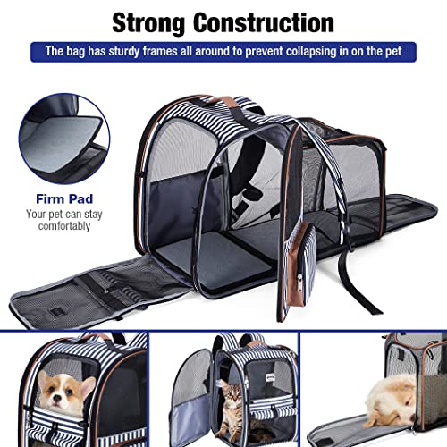Large Cat Backpack Carrier Expandable Pet Carrier Backpack for Small Dogs Medium Cats Fit Up to 18 Lbs (Striped)