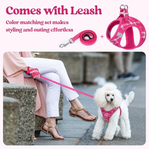 Dog Harness Medium Sized and Leash Set (Rose Red Plaid / M (chest: 16 - 18.5"))