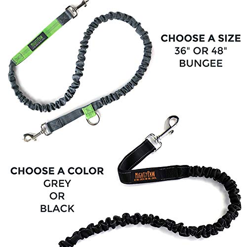 Hands Free Dog Leash (36" / Black)