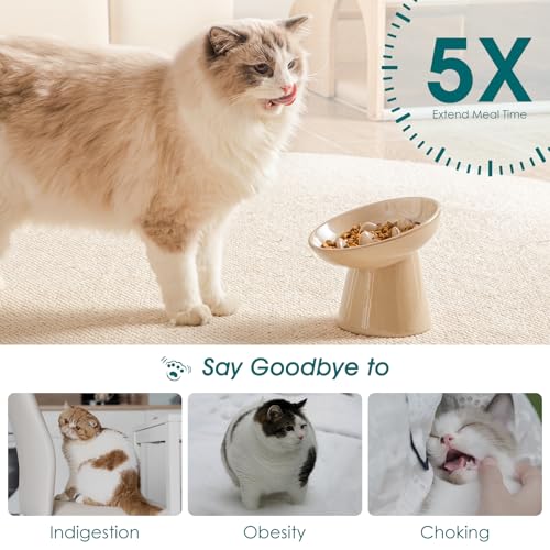 Ceramic Slow Feeder Cat Bowl (Brown)