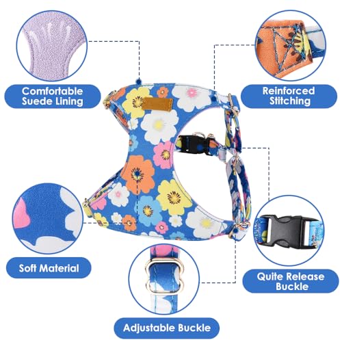 No Pull Dog Harness with Leash for Small Medium Dogs (XX-Small(2.2-6lb) / Blue Flower)